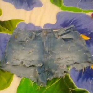 Pistola Jeans Denim Shorts Heavily Distressed 25